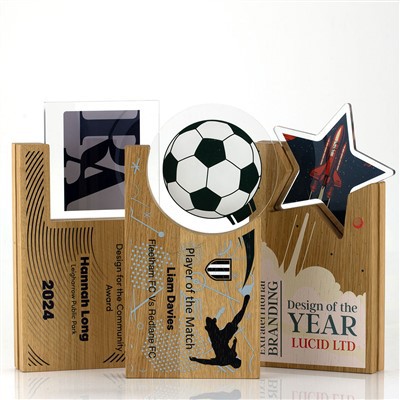 ووڈ ہوورنگ سرکل اسپورٹس ایوارڈ